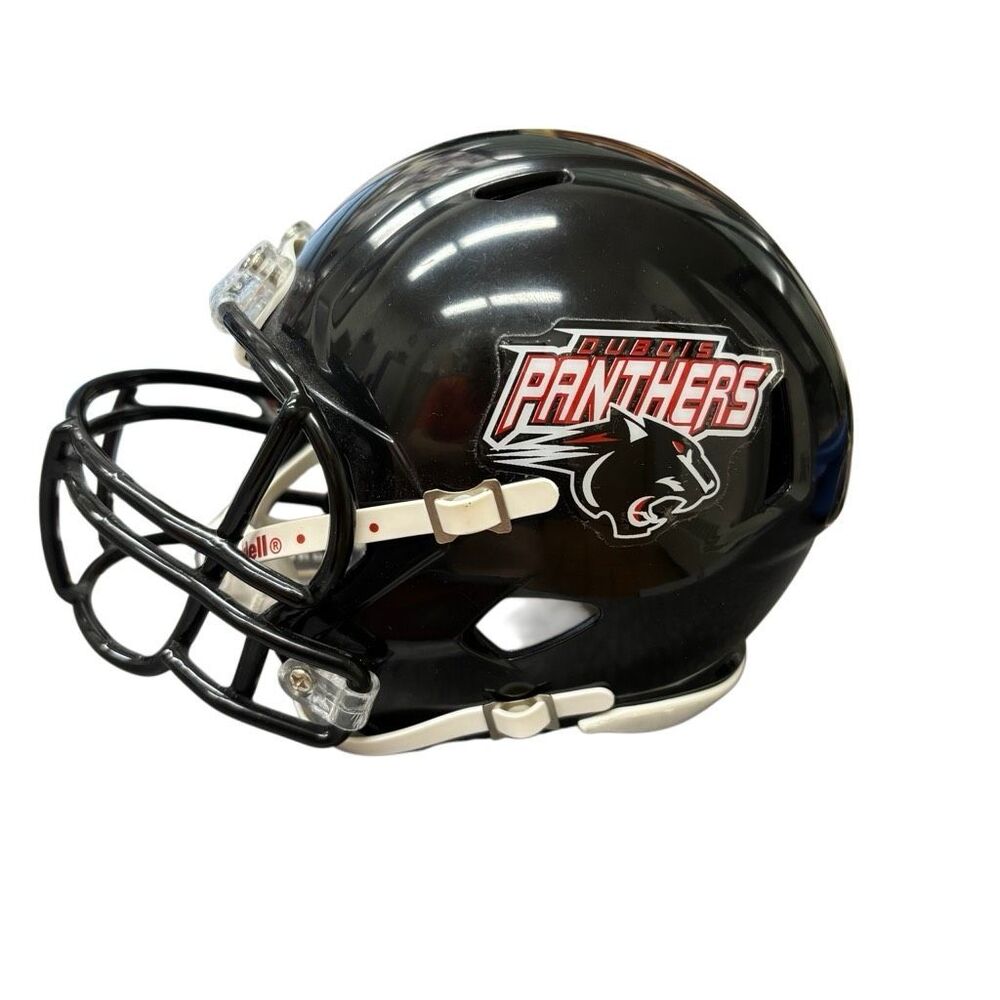 DuBois Panthers Size 3 5/8 Mini Riddell Football Helmet DuBois Pennsylvania - Picture 4 of 7